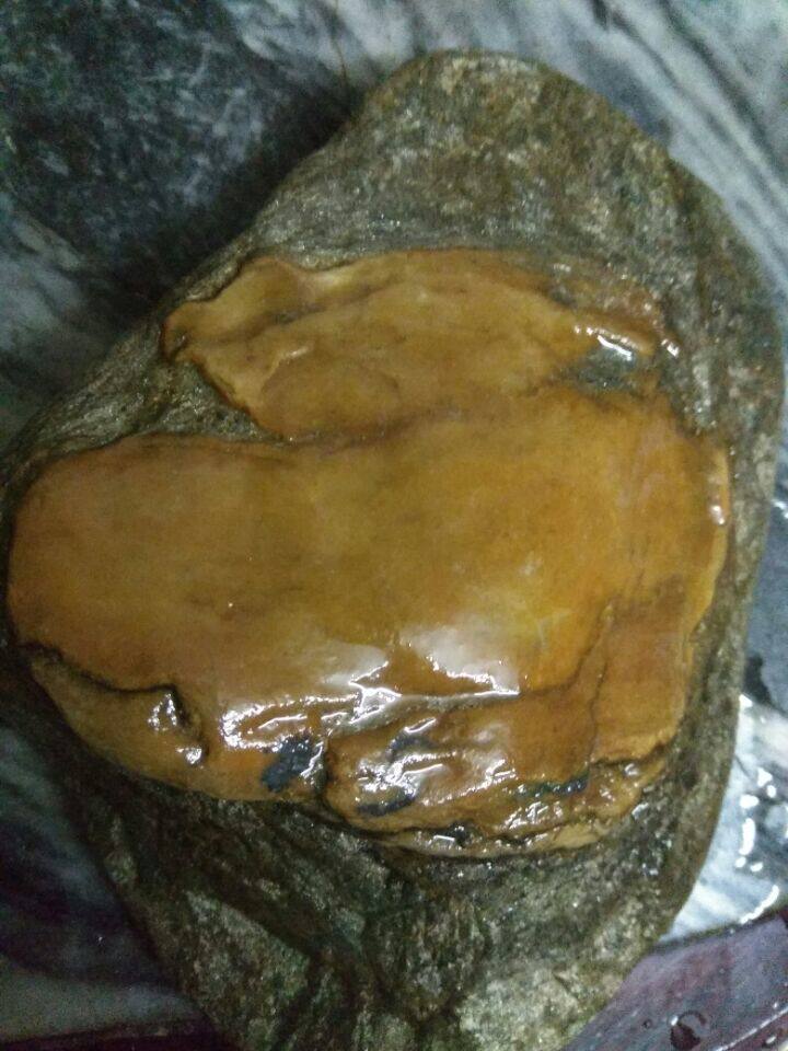 <Mother bird hatchling> Shaping stone sightseeing stone graphic stone natural stone ornaments