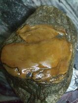  Shaping stone ornamental stone graphic stone natural strange stone ornaments