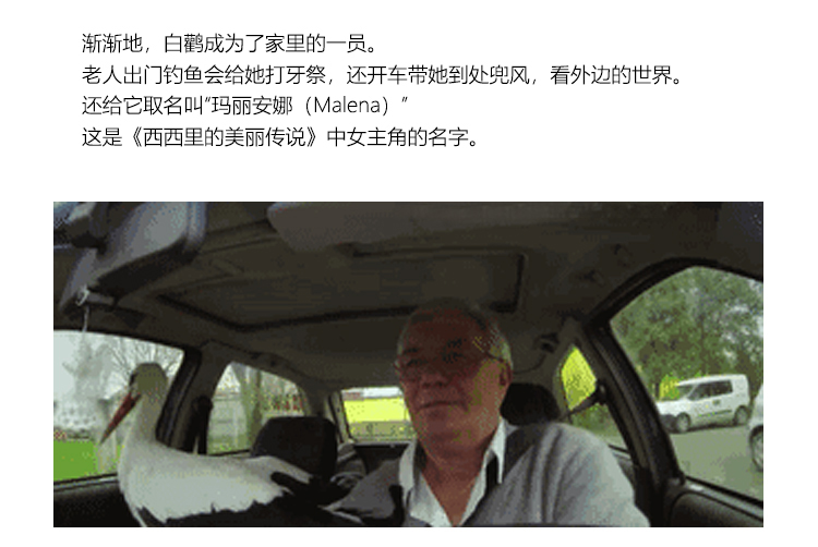 Bague mixte OTHER   en Argenterie - Ref 3089136 Image 14