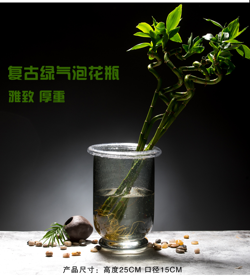 Bình thủy tinh phong phú tre thủy canh cây thủy tinh hoa bình cắm hoa cắm hoa hồng xanh trang trí đồ gốm - Vase / Bồn hoa & Kệ bình trồng cây thủy sinh