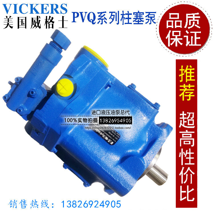 Wegez VICKERS hydraulic plunger pump PVQ5 10 13 13 25 25 29 32 45 injection molding machine variable pump