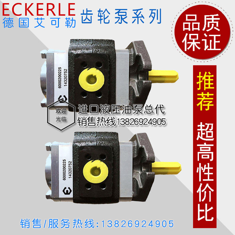 Spot new German original imported ECKERLE Eicole gear pump 890-EI-10050-S1-C501