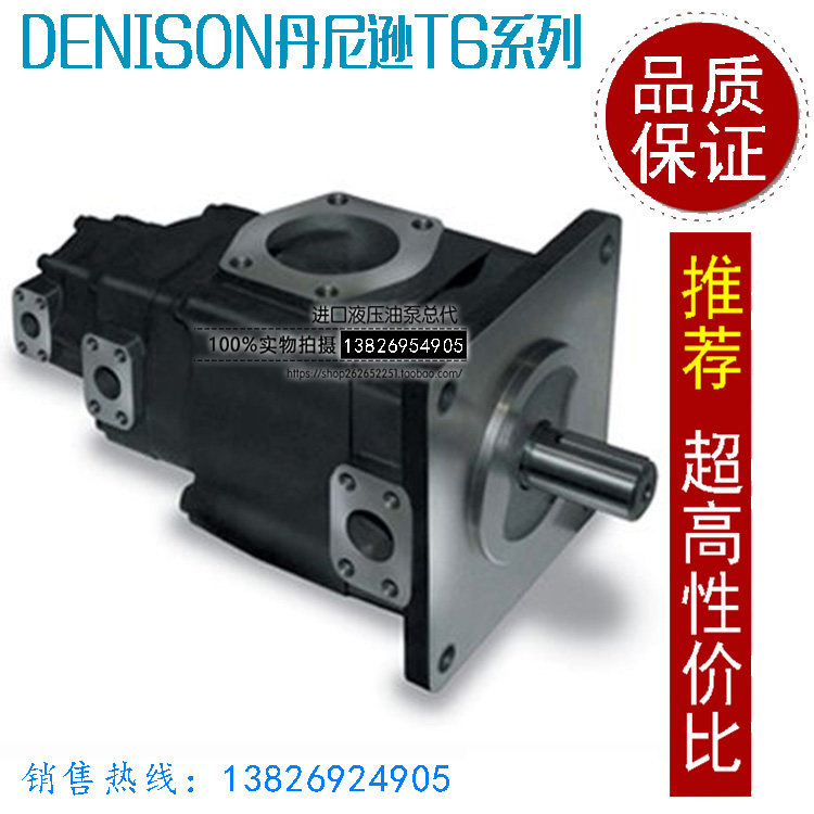 Danny Danon duplex pump T6ED-085-014 T6ED-085-017 T6ED-085-017 T6ED-085-020-1R00-C100