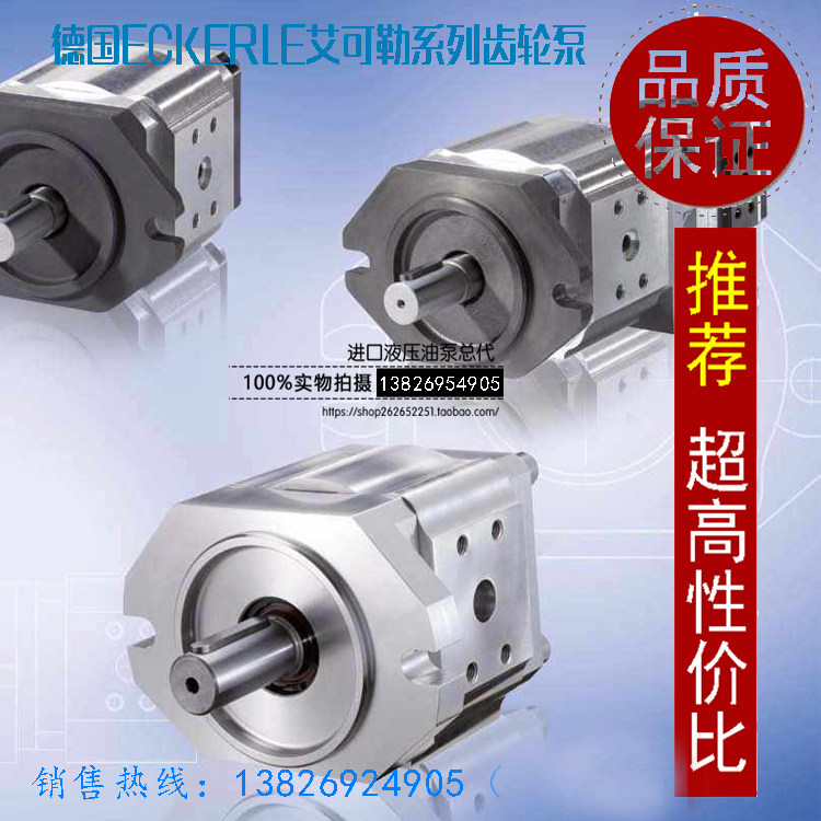 German original imported ECKERLE gear pump EIPC3-050RK23-10 ecan high pressure pump