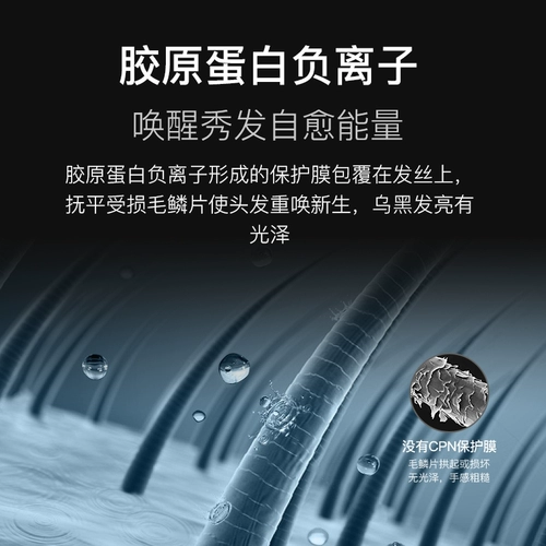Интернет -знаменитость фен домохозяйства по уходу за волосами ионный уход за волосами. Общежитие для моделей волос в формате студентов