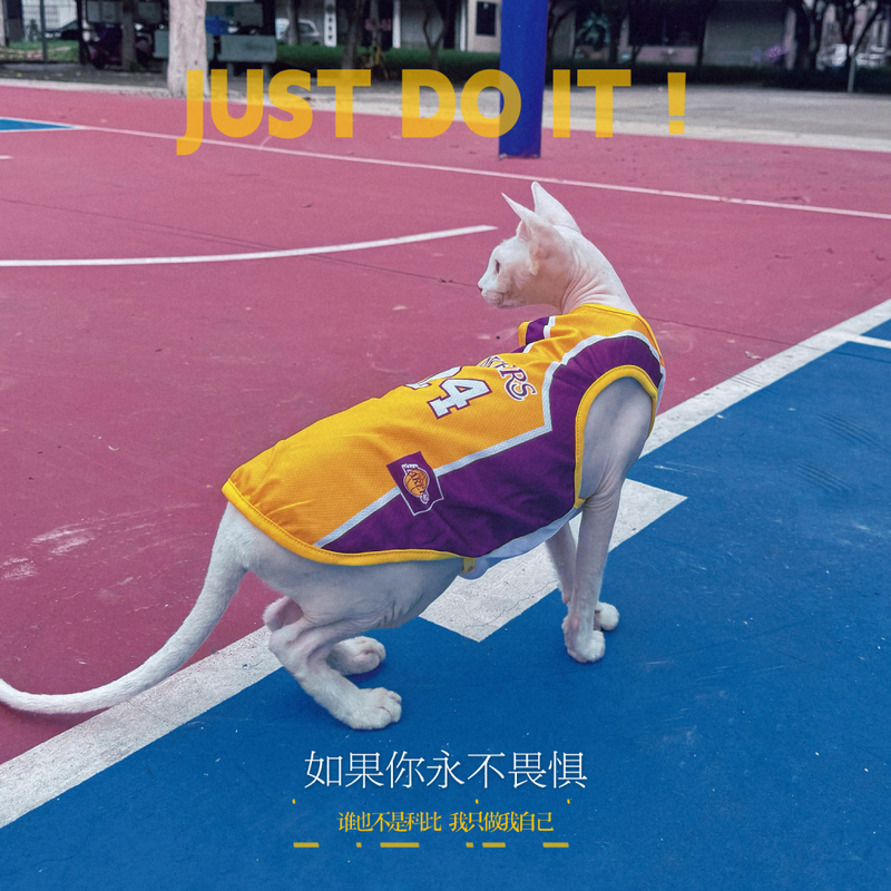 Blues Hairless Cat Sphynx Devon Summer Breathable Thin Basketball Vest Blues Hairless Cat Sphynx Devon Summer Breathable Thin Basketball Vest