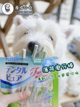 Japans Petio mint bodywear teeth grindle 10 only puppies grind their teeth to the mouth and smell the teddy golden fur puppies