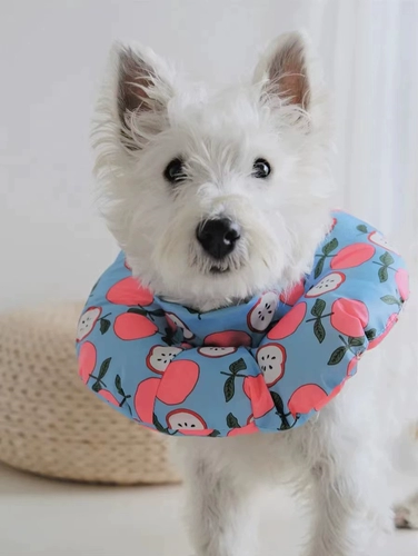 Pet Soft Boylizabeth Водонепроницаемый круг облизы