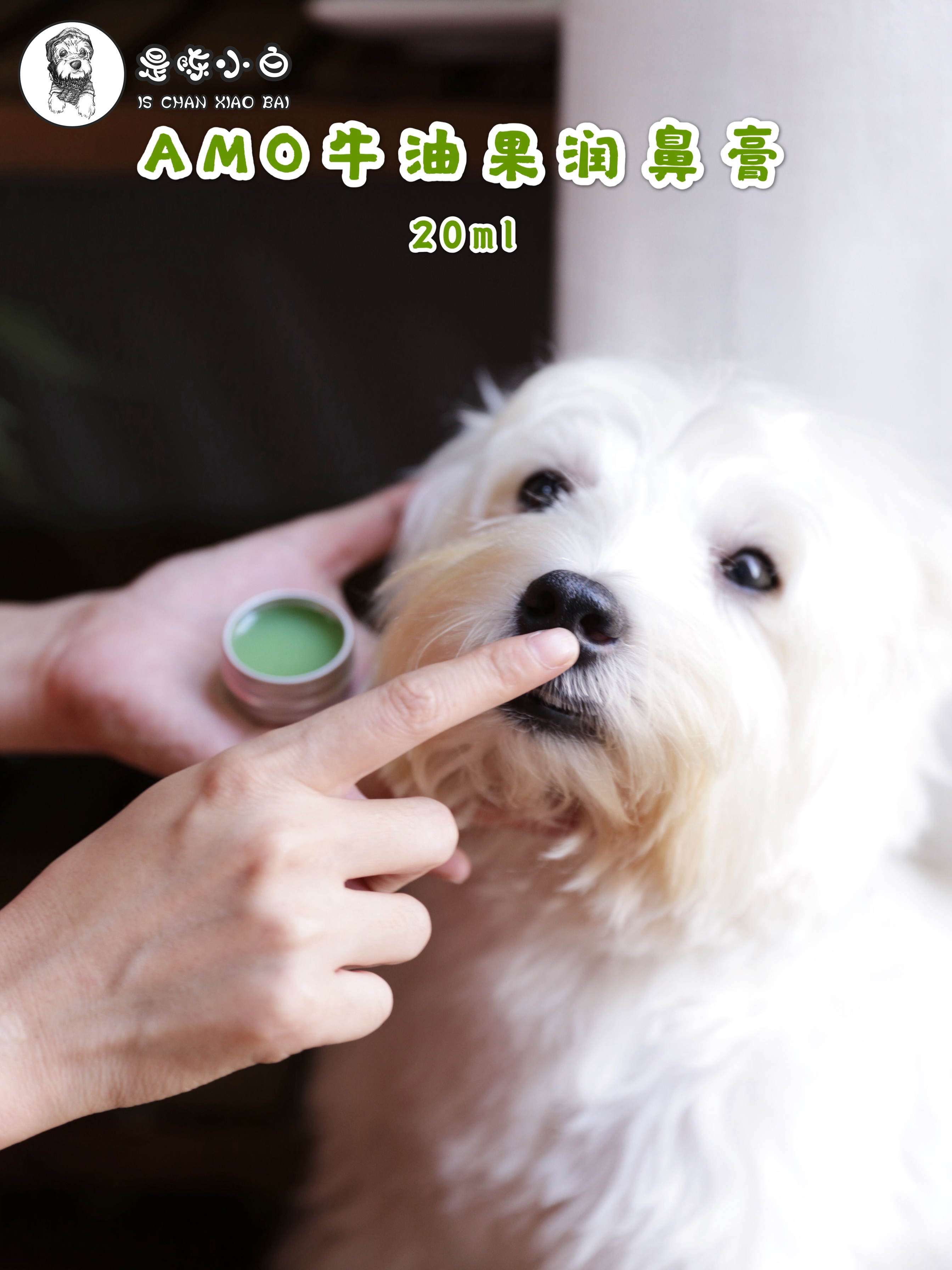 Amo Petric Amer Pet Cow Oil Fruit Moisturizing Nose Cream Nourishing Dog Cat Nose Prevention Dry Crack Care 20ml