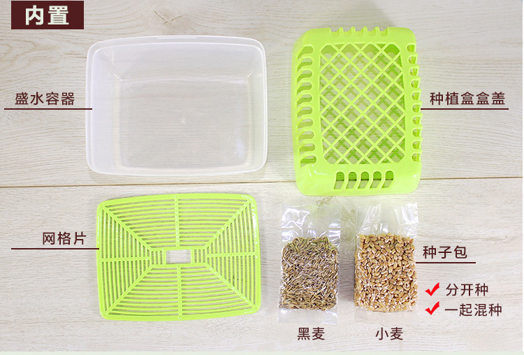 Petstyle mèo cỏ Pet mèo ăn nhẹ Mèo thức ăn cho mèo Cat để tóc bóng mèo phù hợp với hộp - Đồ ăn nhẹ cho mèo bán buôn thức ăn phụ kiện chó mèo