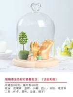 Клонирование порошка 300G Модель 400G // Стеклянная крышка Set Gold/Color Light