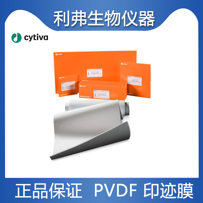 GE硝酸纤维素膜10600001NC膜0.2/0.45um思拓凡PVDF印迹膜10600023