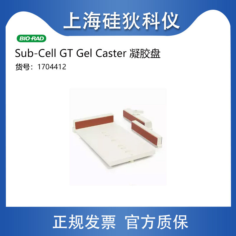 Sub-Cell GT Gel Caster #1704412制胶盘伯乐凝胶盘