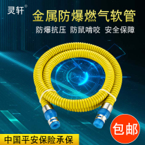 Household liquefied gas pipe Gas stove gas pipe Water heater Metal connection pipe Natural gas pipe Explosion-proof hose