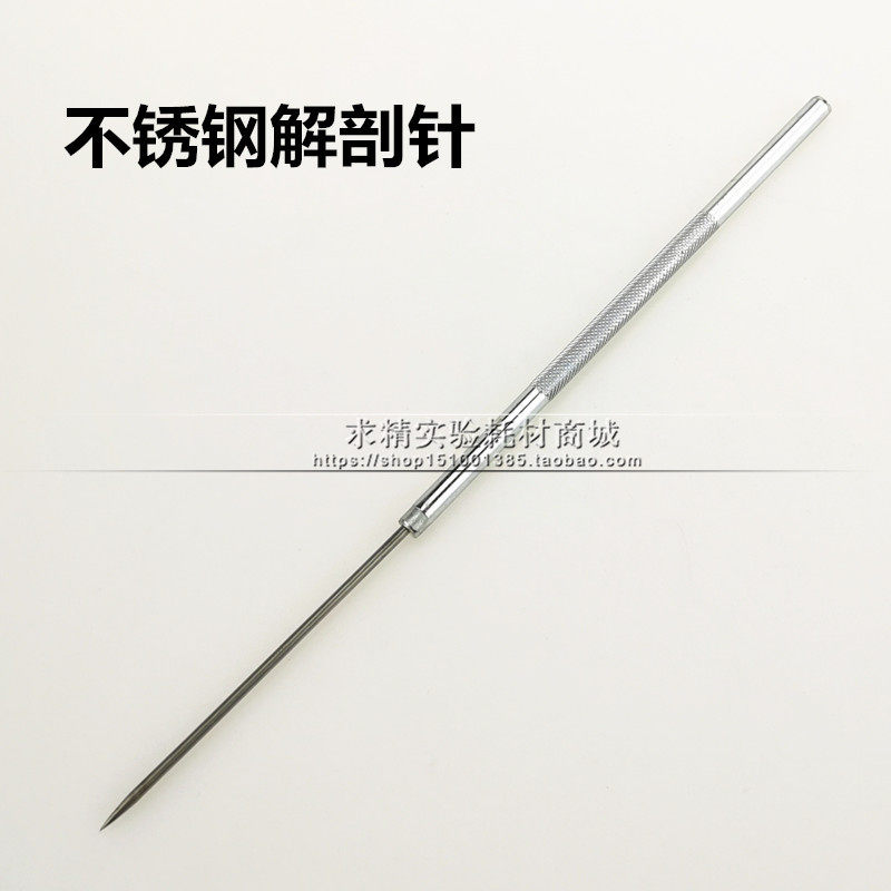 解剖针 昆虫解剖针 实验器材 仪器 生物 教学教具