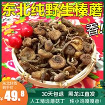 New Northeast Shanzhen specialty wild hazelnut mushrooms dried chicken stewed mushrooms Farm self-picked mountain goods Zhen mushrooms 200g