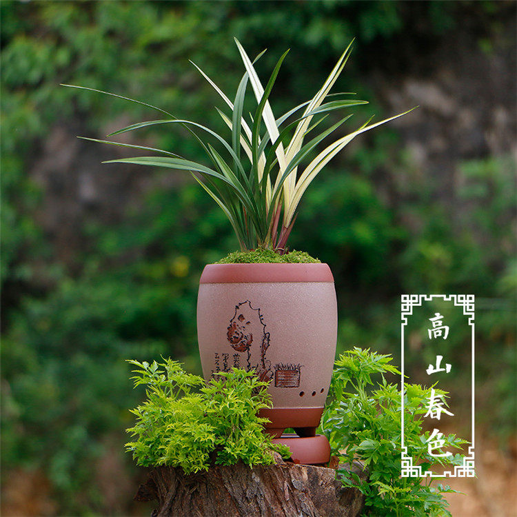 Детали весенних пейзажей гор - (4) .jpg