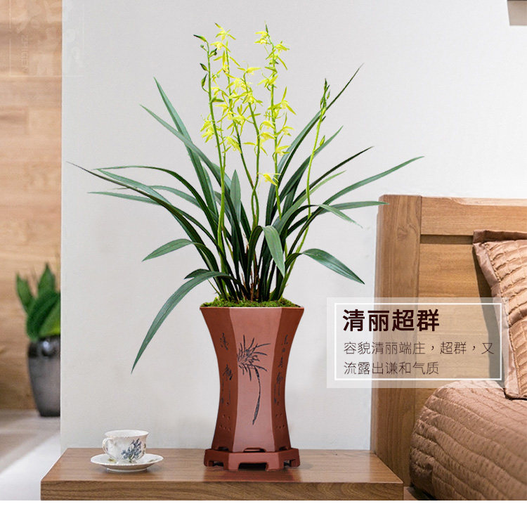 Белые чернила и белая версия сведения о page_01.jpg