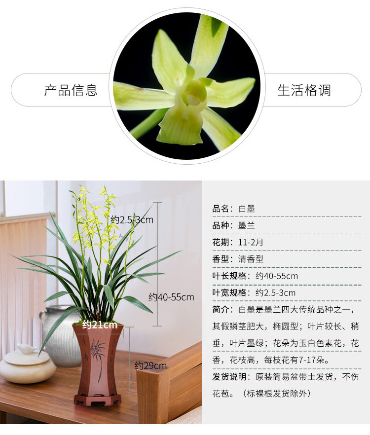 Белые чернила белые детали издания page_02.jpg