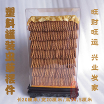 Square canned cordyceps ornament size chicken wing wood canned cordyceps model window display decoration display