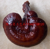 Simulation Ganoderma lucidum model Medicinal ganoderma lucidum model Ornamental Ganoderma lucidum model Medicinal display ornaments