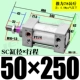 ZSC50*250-S магнитный