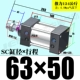 Флуоресцентный зеленый SC63*50