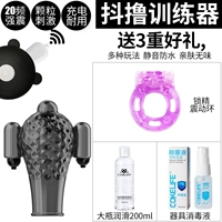 1 Инвертор с зарядкой установки Penis-Penis+подарок