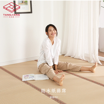 Tang will tatami mat custom coconut palm mat custom tatami mat Japanese-style tread rice waterproof anti-fouling heating pad