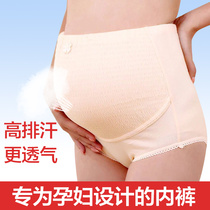 Pregnant women underwear cotton high waist belly adjustable loose cotton triangle pants large size underwear breathable