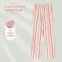 Красочная полоса