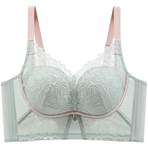 Catman underwear for women push up small breasts make them look bigger prevent sagging shrink secondary breasts adjustable lace rimless bra
