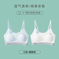 【Тонкий плечевой ремешок】 синий + шампанское (латексные подставки/антибактериальные и анти-миты)