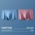 Catman nam Đồ lót nam bốn -horn cotton mùa hè mỏng manh và thoáng khí 2021 Boy mới phẳng -angle quần ngắn quần lót nam big size Nam giới