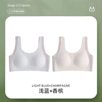 Голубой+шампанское [Снежная кузнеца/анти -конвейса точка]