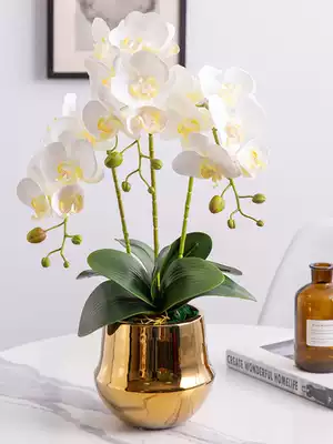 Phalaenopsis simulation flower living room TV cabinet table fake flower decoration model room hotel front desk simulation bouquet ornaments