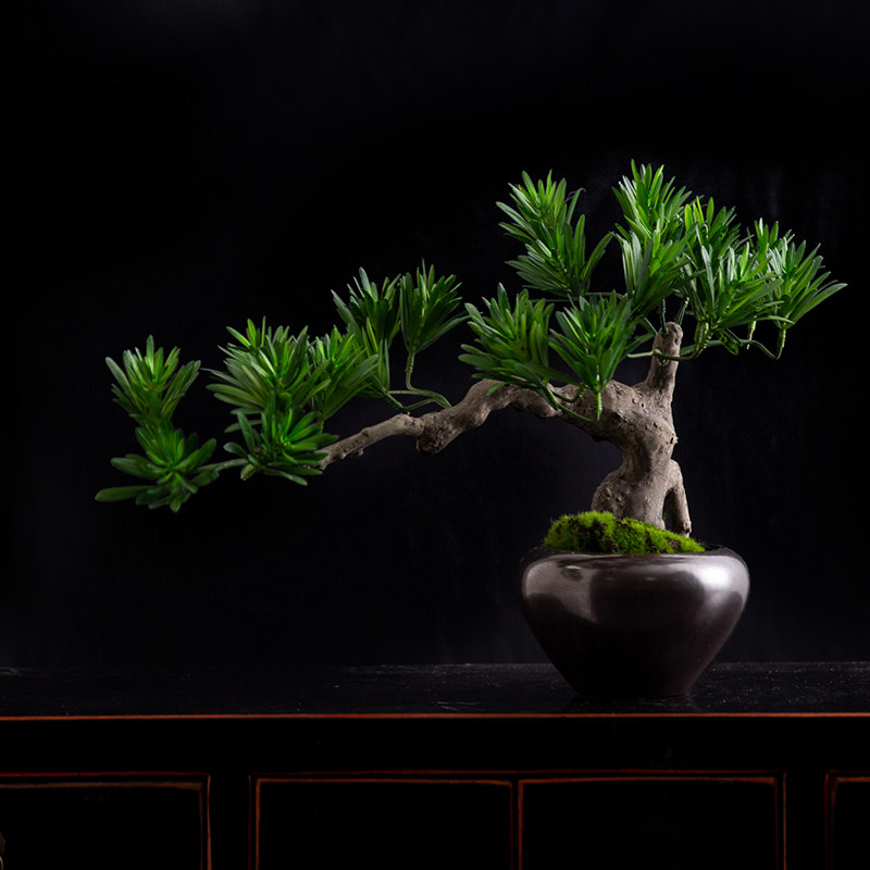 New Chinese plant pine pot view living room sample building simulation welcome pine jewelry Japanese home accessories