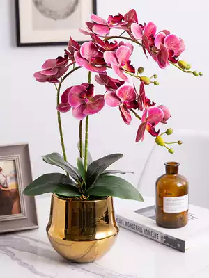 Phalaenopsis simulation flower living room TV cabinet table fake flower decoration model room hotel front desk simulation bouquet ornaments