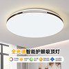 Living Room Lamp, Simple and Modern, 2025 New Model Led Ceiling Light for Bedroom, Dining Room, Zhongshan Master Bedroom Large Lighting Fixture