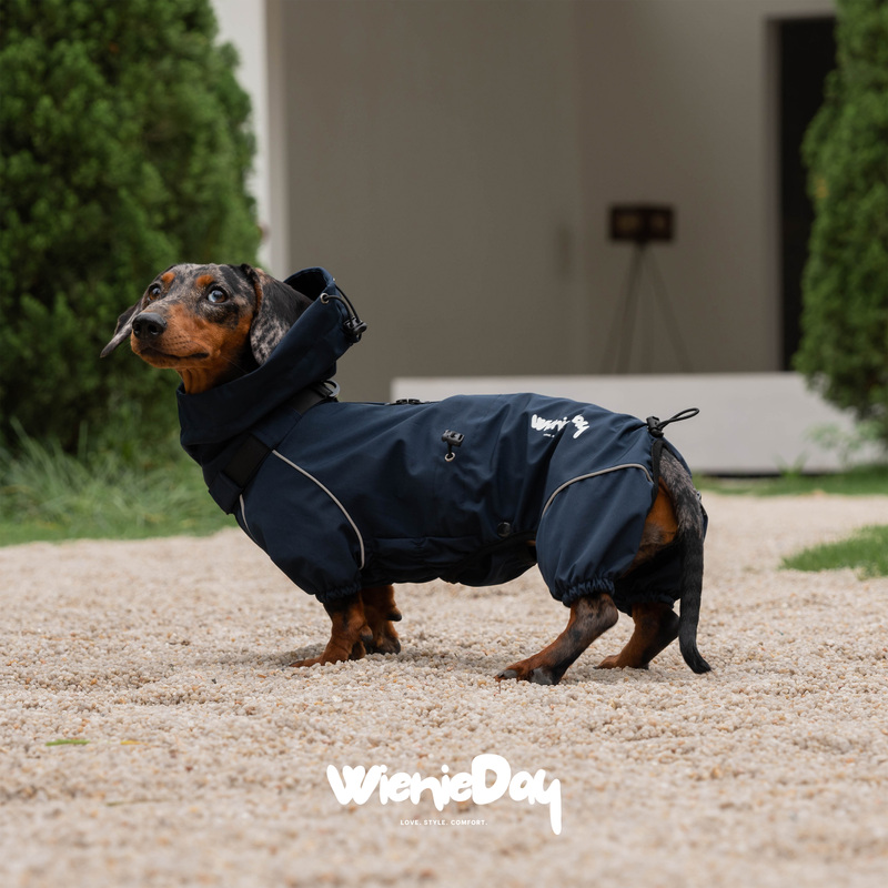 Wienieday Alps Series/Outdoor Waterproof Short-Leg Full-Coverage Dachshund Jacket Raincoat 2.0 Wienieday Alps Series/Outdoor Waterproof Short-Leg Full-Coverage Dachshund Jacket Raincoat 2.0