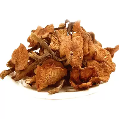 Hazelnut mushroom wild northeast Changbai Mountain farm home-grown chicken stewed mushroom matsutake dried wild fungus Jilin specialty