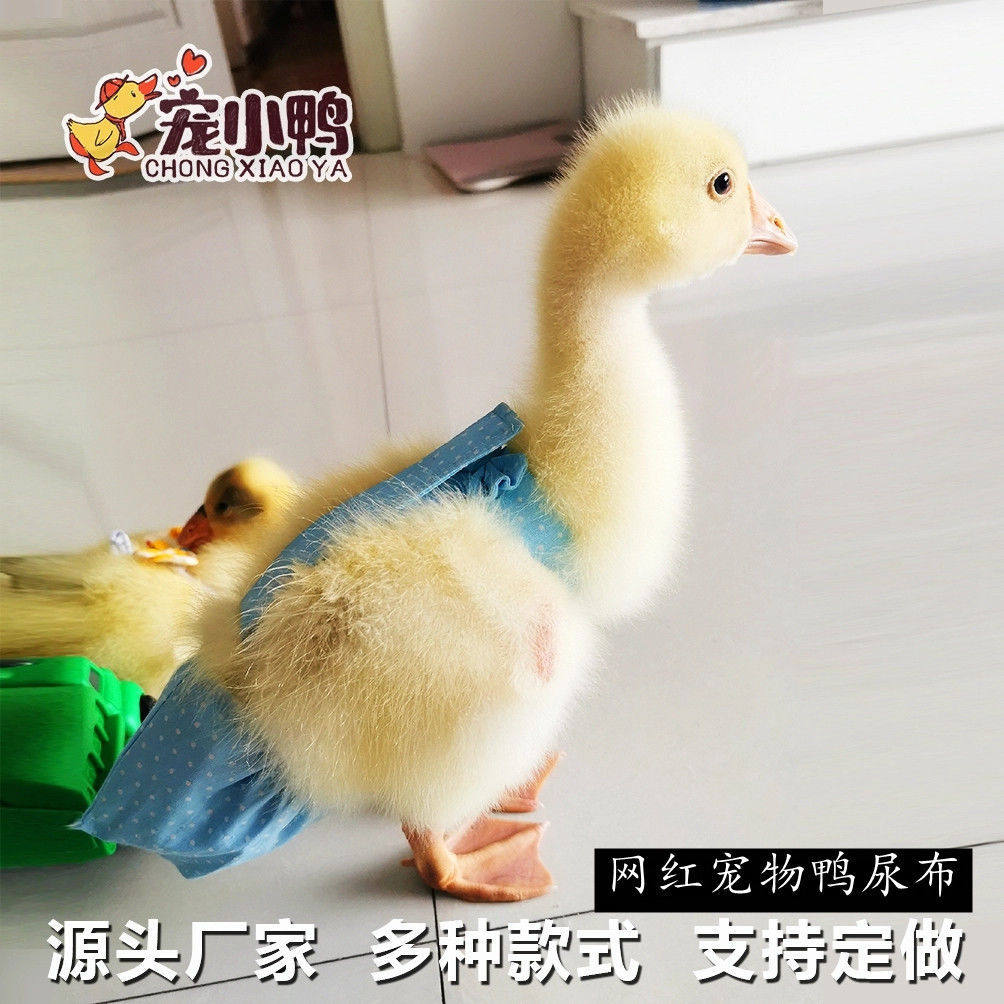 Pet Keer Duck Clothes Diapers Duck Diapers Chicken Goose Diapers Keer Duck Poop Changeable Washing Supplies Duck Supplies