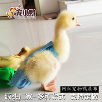 Pet Cole Duck Clothes Diaper Duck Diaper Not Wet Chicken Goose Diaper Cole Duck Pocket Convertible Toiletries Duck Supplies