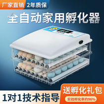 (High hatchability) Incubator Fully Automatic Intelligent Small Household Incubator Chicken Duck Goose Water Bed Incubator