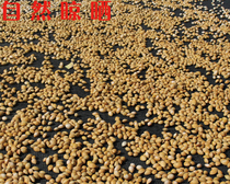 Shandong real tree ginkgo fruit ginkgo fresh (1 piece = 13 95 5kg) most of the country