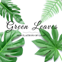 Minimalist ins wind simulation plant decoration tropical coconut leaves fern leaves photo photography background posing props
