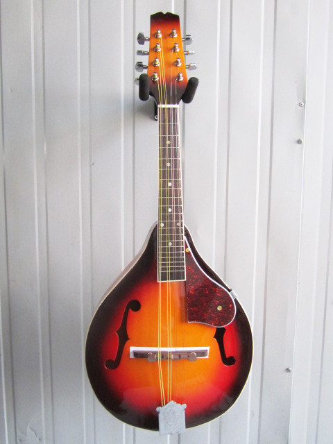 Mandolin mandolin F hole mandolin F hole Mandrin Mandrin 8 string string bag string F hole mandolin
