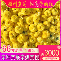 2021 New Tea Winter Fire Tea Huizhou Huangju 500g Chrysanthemum Tea Bulk Golden Silk Huangju Wuyuan Huangju Flower Tea