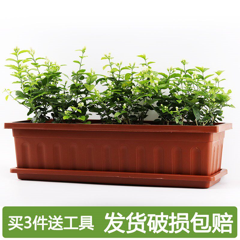 Balcony Plastic Flowerpots With Canon Rectangular Balcony Cultivation Vegetable Case Long Trough Basin Strip Basin Type Vegetable Flower Pots