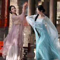 Wu Ruixiang adult female classical dance performance costume ancient style fairy-like elegant Chinese style slim-fitting large skirt